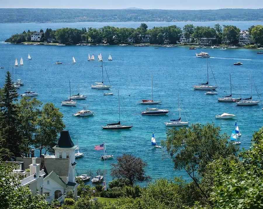 Harbor with Sailboats
