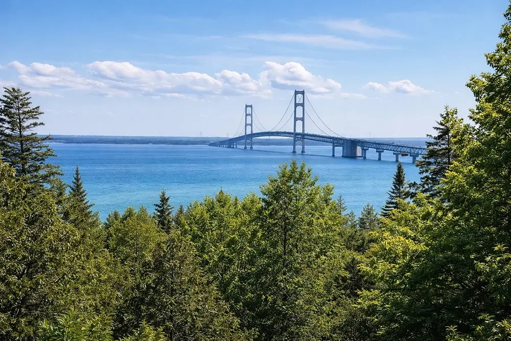 LOCAL AREA - Mackinac Bridge 2