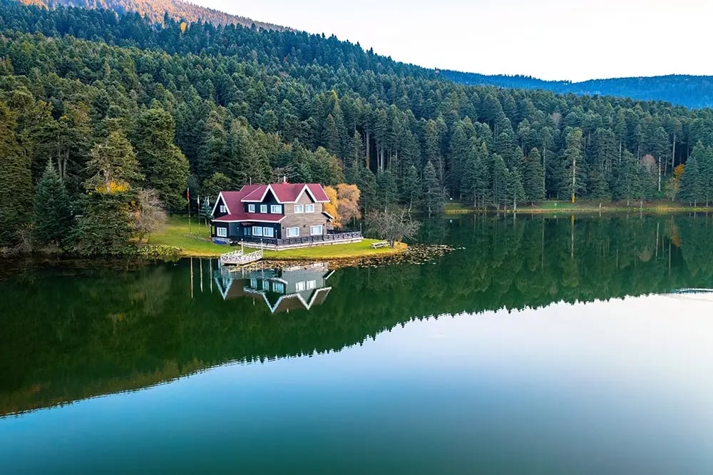 up north property